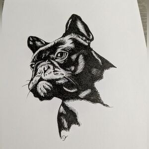 Black French Bulldog Pet Art Original Ink Drawing- Unbranded